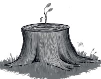 La Nación